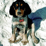 Entry image for Lucy