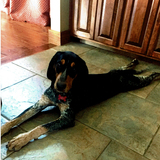 Entry image for Lucy