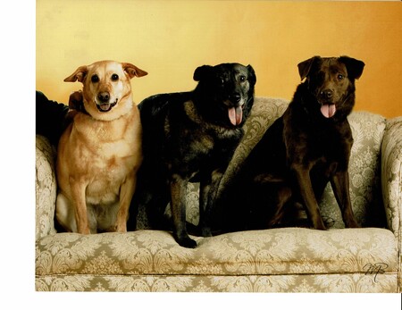 Entry image for Sandy, Angel & Faith. Clicking this image will show a larger photo