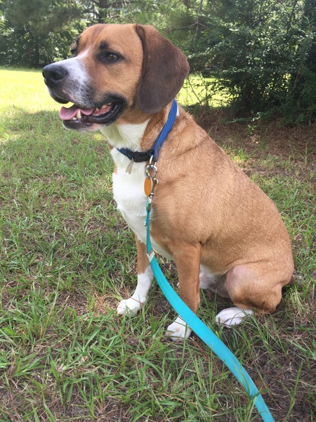 Entry image for MURPHY. Clicking this image will show a larger photo