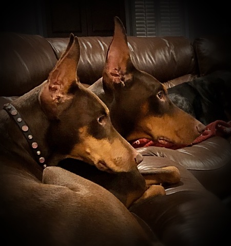 Entry image for Bowden & Mira. Clicking this image will show a larger photo