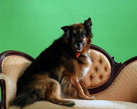 Entry image for Emily. Clicking this image will show a larger photo