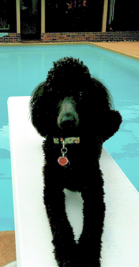 Entry image for Josette. Clicking this image will show a larger photo