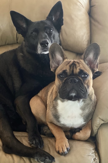 Entry image for Alice and Bougee . Clicking this image will show a larger photo