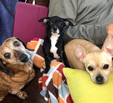 Entry image for Aubrie, Bodie & Paris Hilton. Clicking this image will show a larger photo