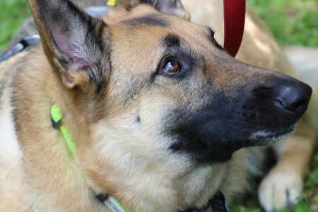 Entry image for Cuddles. Clicking this image will show a larger photo