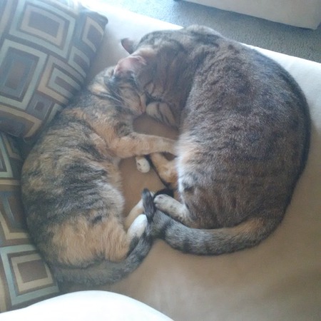 Bella & Kelly
