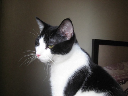 Leroy