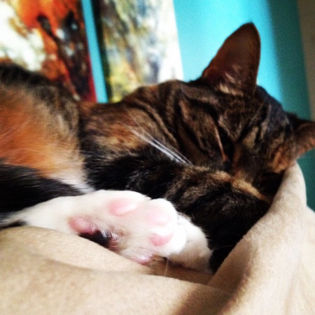Molly