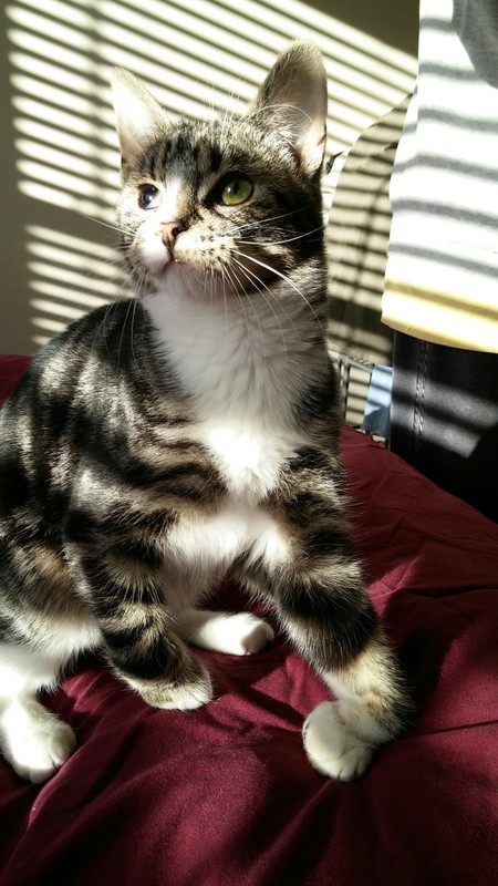 Marco