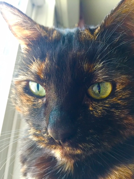 Salome