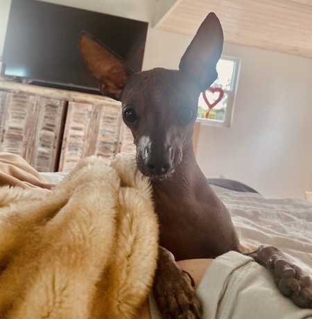 Pablo