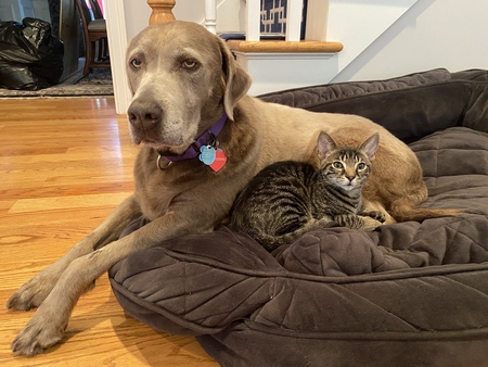 Stormy and Monty