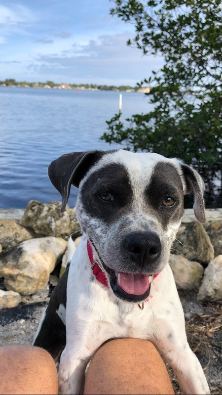 Scout  (aka Joker)