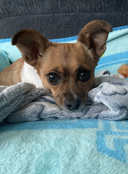 Axel