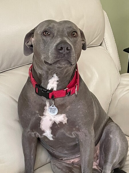 Penny
