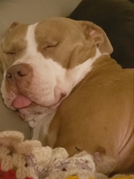 Sam