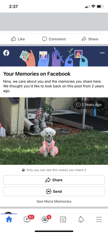 maggymae