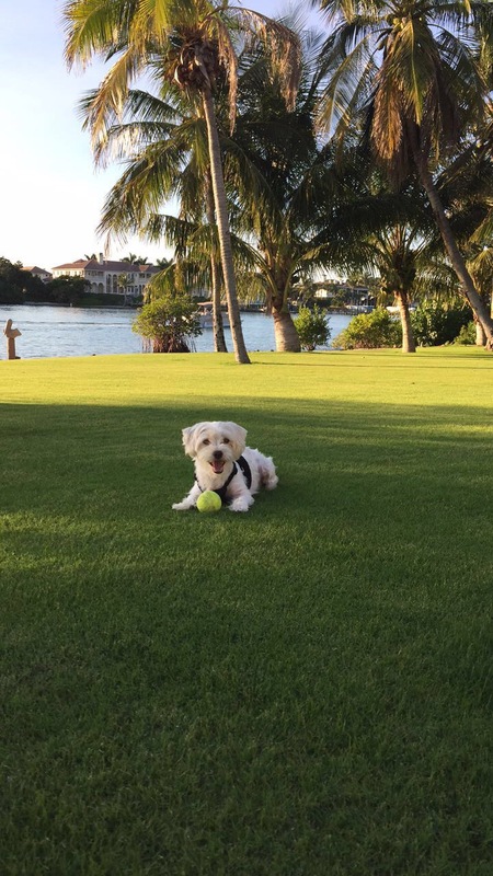 Max