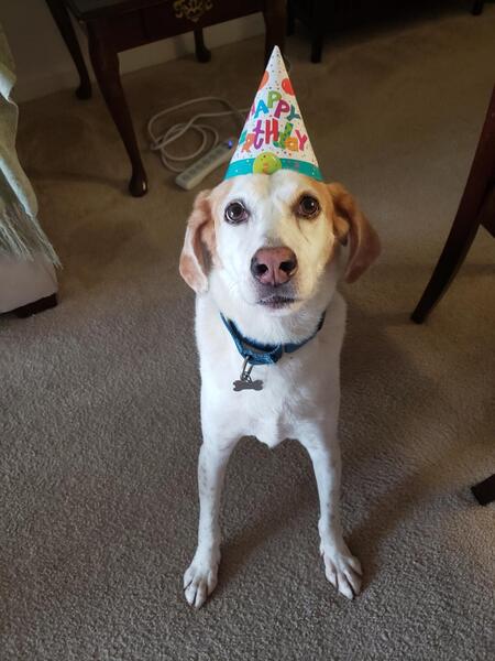 Riley E. Dog