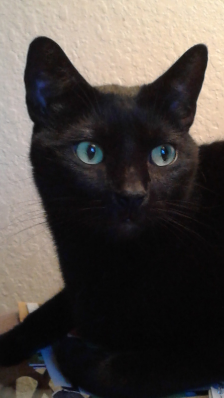 Handsome