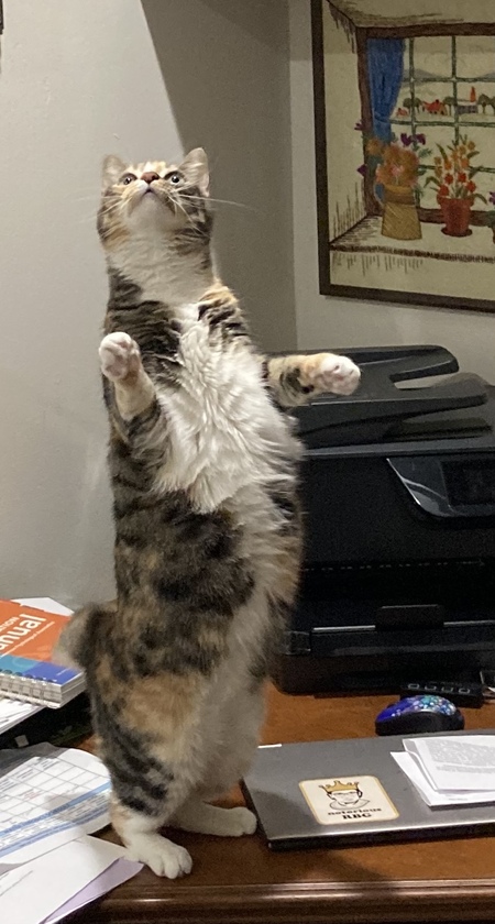 Sabrina