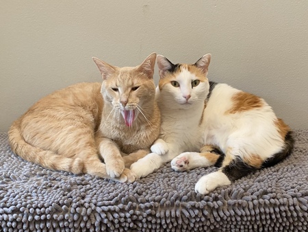 Jax & Cassie Jordan