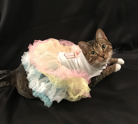 Mittens 