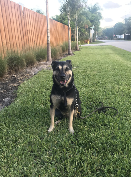 Kenzi