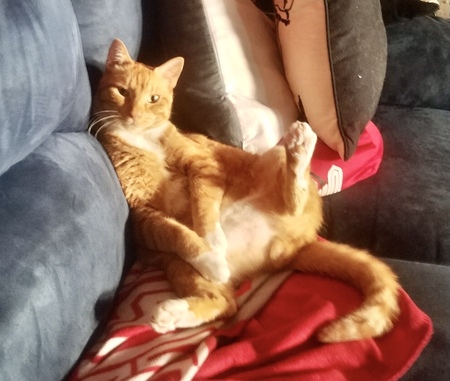 Milo