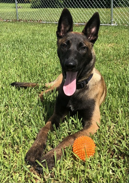 Oscar