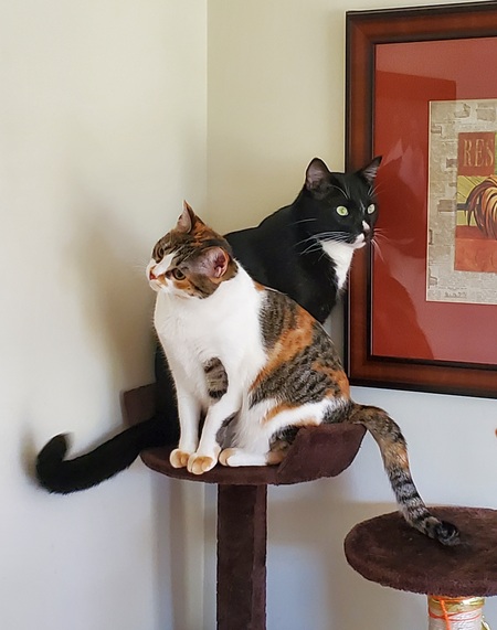 Vinnie and Kit Kat