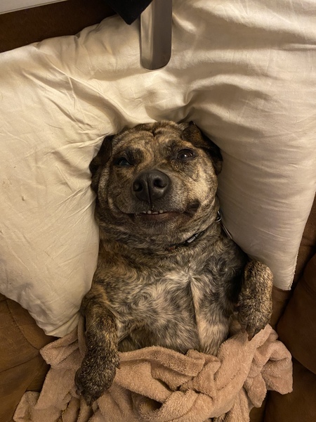 Skye