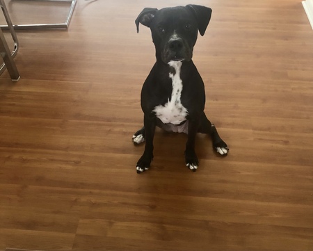 Luna 