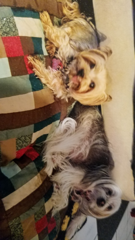 Maggie mae and Zia