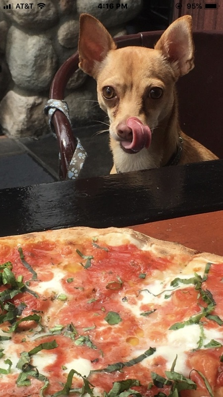 Stella Bella Pati