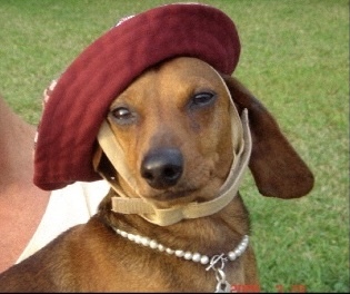 Maggie (Margaret Mary)
