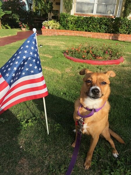 Missy