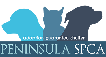 Logo for 2022 Peninsula SPCA Calendar Photo Contest