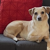 Entry image for Lulu