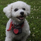 Entry image for Maggie Mae