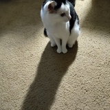 Entry image for Olivia