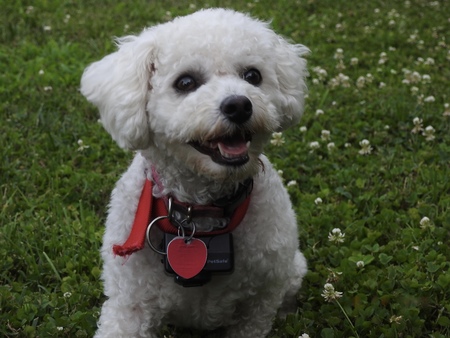 Entry image for Maggie Mae. Clicking this image will show a larger photo