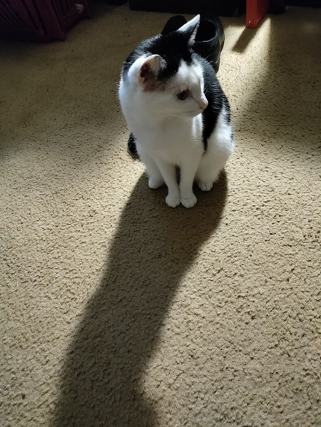 Entry image for Olivia. Clicking this image will show a larger photo