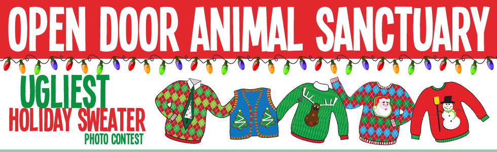 Rules Open Door Animal Sanctuary Ugly Holiday Sweater Pet