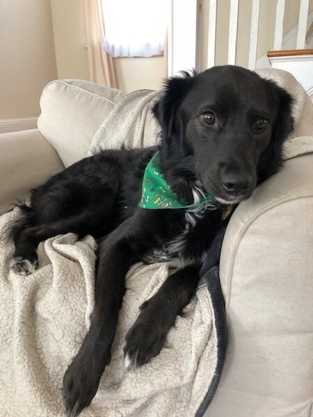 Reilly ( formally Batman)