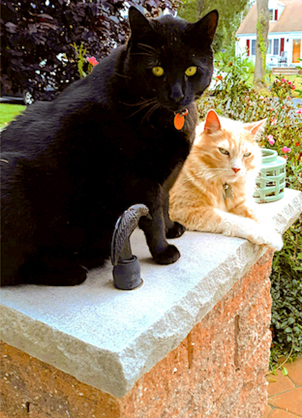Harry & King
