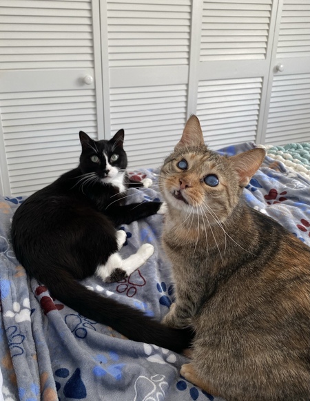 Emilio and Walker