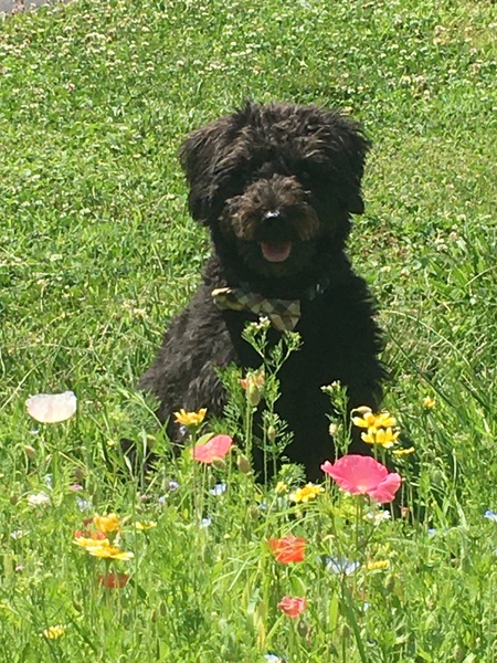 Buster