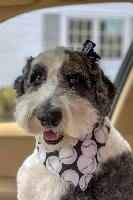 Rosie